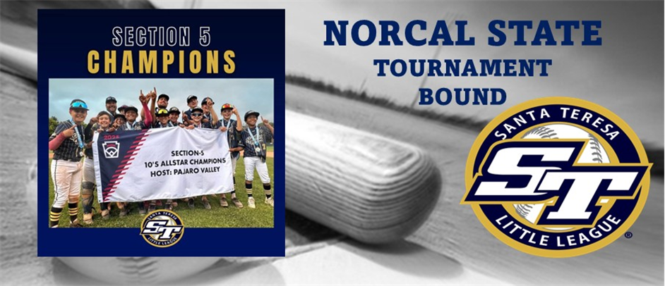 SUPPORT STLL 10U GOLD ON THE STATE CHAMPIONSHIP JOURNEY